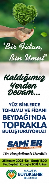 Büyükşehir Ağaçlandırma