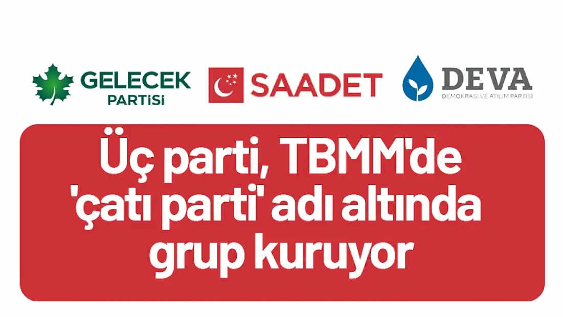 Üç parti, TBMM'de 'Çatı Parti' Adı Altında Grup Kuruyor