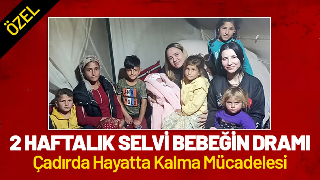 2 Haftalık Selvi Bebeğin Dramı 'Çadırda Hayatta Kalma Mücadelesi'