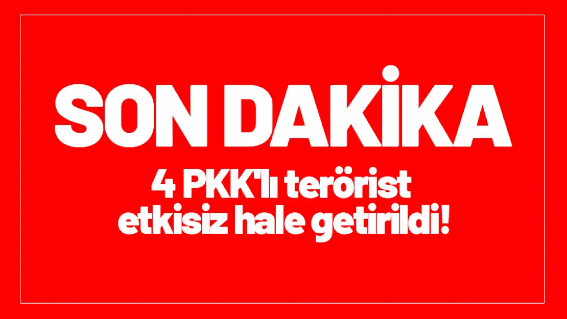 4 PKK'lı terörist etkisiz hale getirildi!