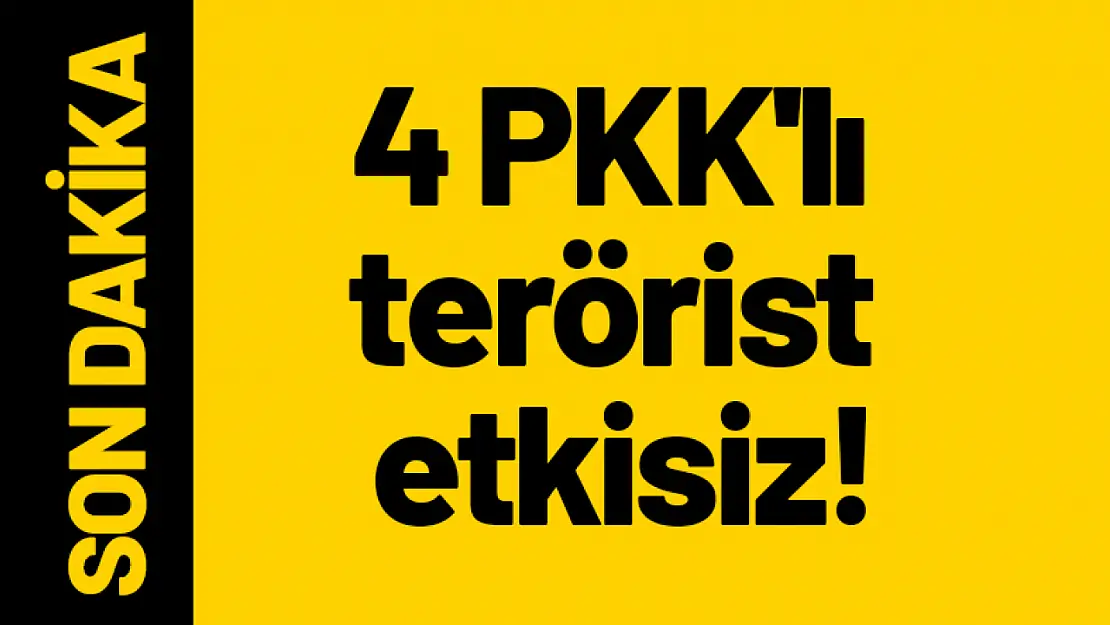 4 PKK'lı terörist etkisiz!