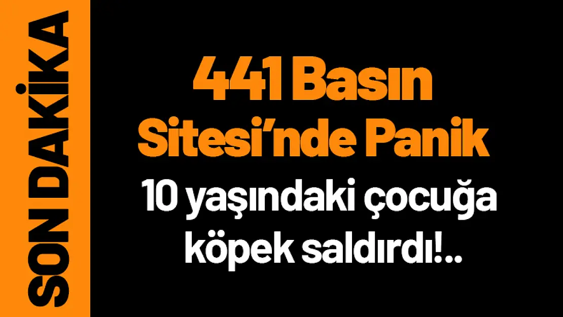 441 Basın Sitesinde Panik! 10 Yaşındaki çocuğa köpek saldırdı...