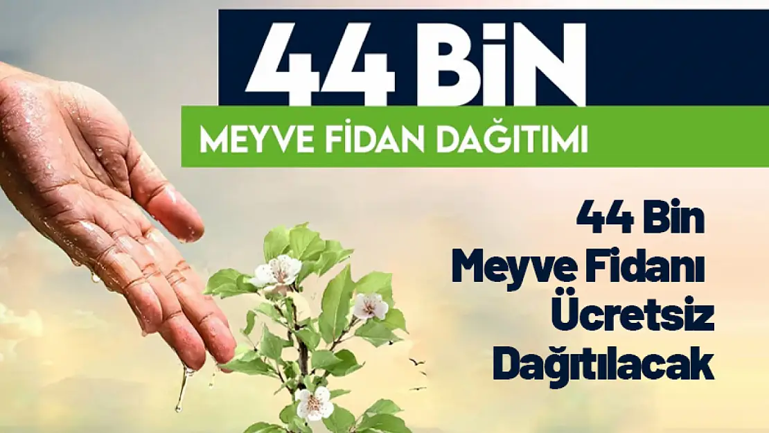 44 Bin Meyve Fidanı Ücretsiz Dağıtılacak