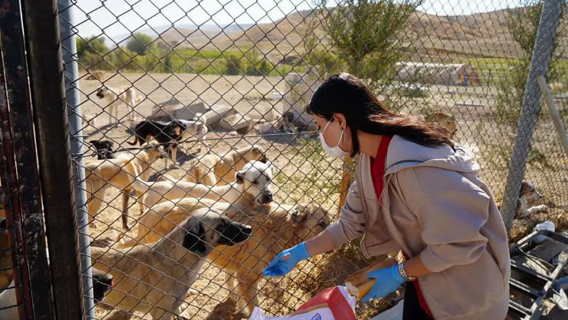 Adıyaman'da Hayvan Barınağı Hizmete Girdi