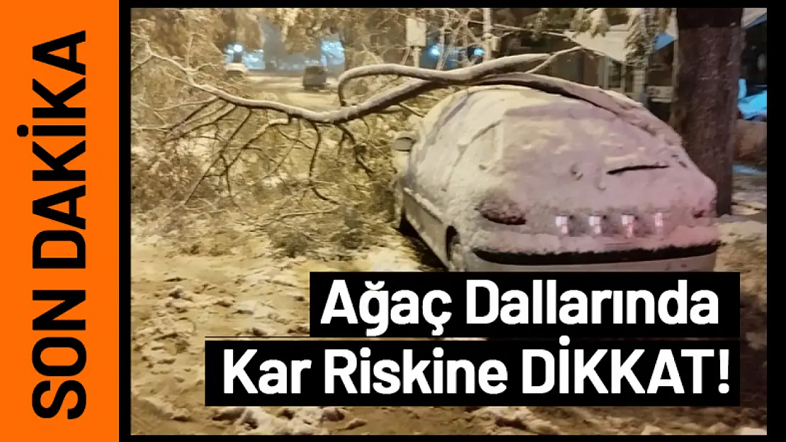 Ağaç Dallarında Kar Riskine DİKKAT!