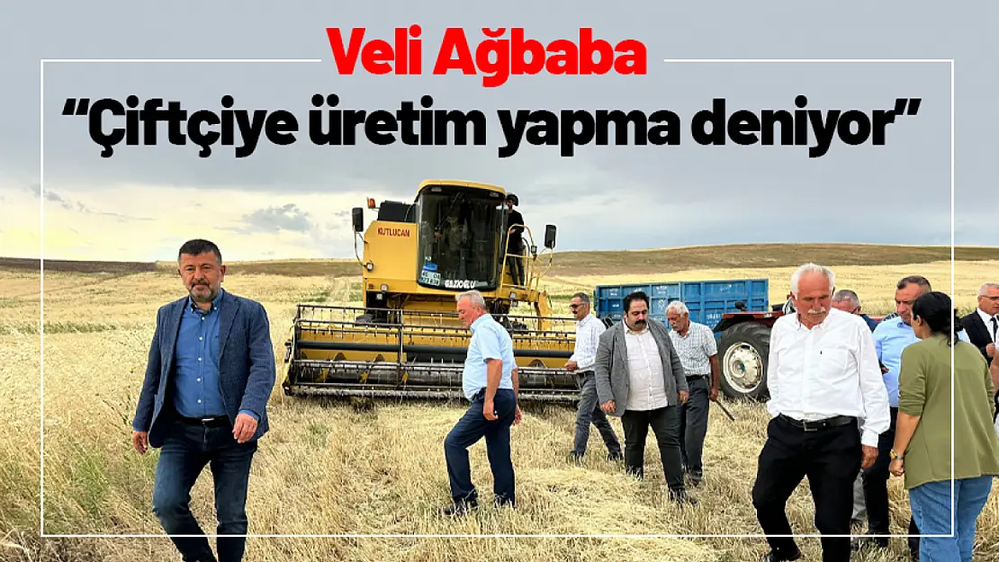 Ağbaba: 'Çiftçiye üretim yapma deniyor'