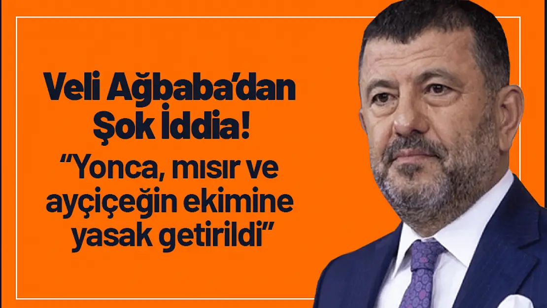 Ağbaba'dan  Şok İddia! 'Yonca, mısır ve  ayçiçeğin ekimine yasak getirildi'