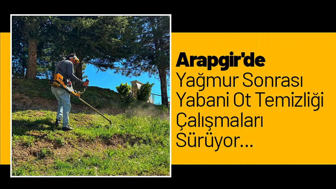 Arapgir'de  Yağmur Sonrası  Yabani Ot Temizliği Çalışmaları Sürüyor...