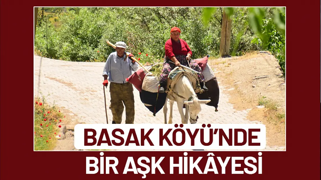 Basak Köyü'nde bir aşk hikâyesi…