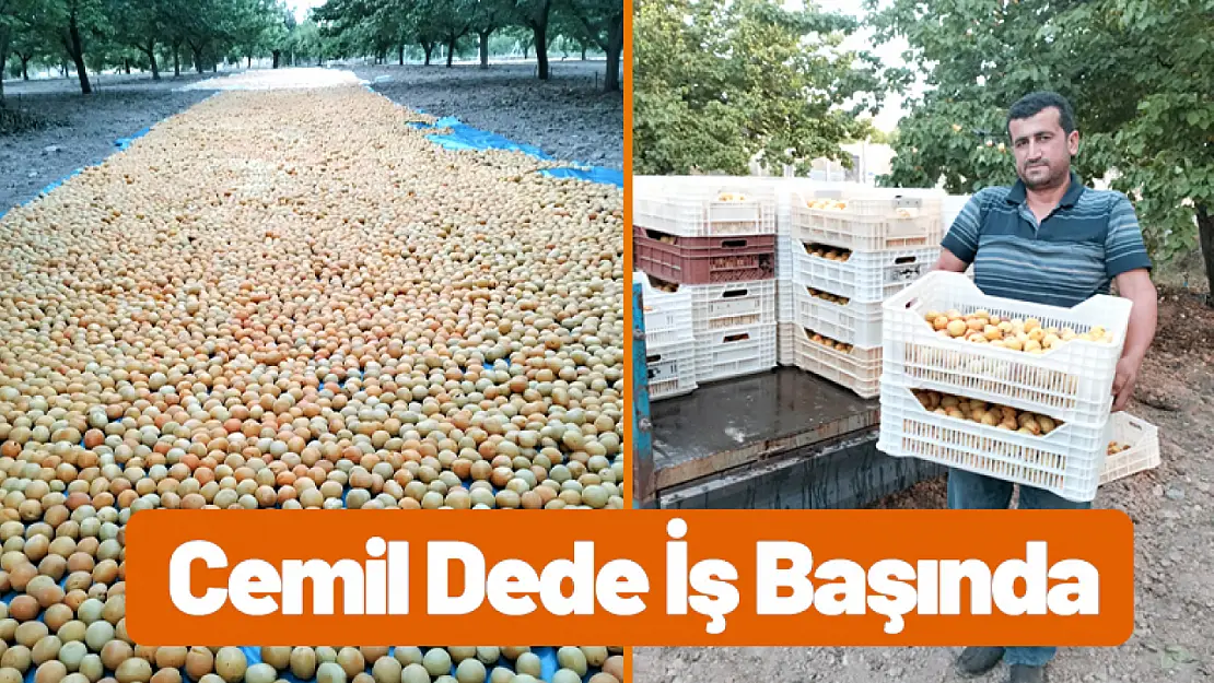 Cemil Dede İş Başında...