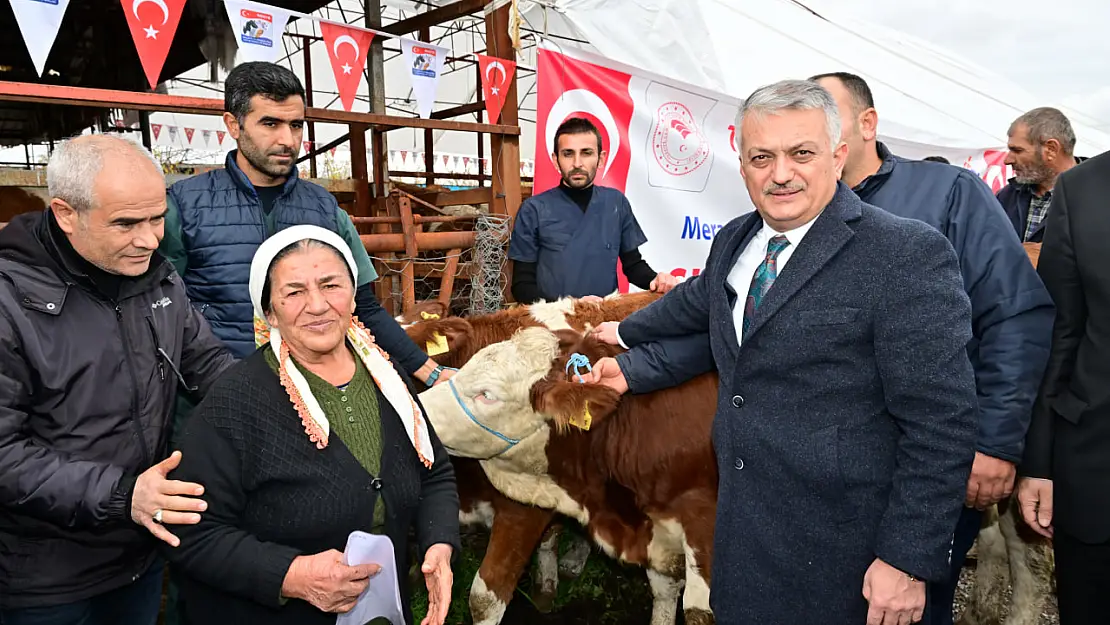 Depremde zarar gören üreticilere büyükbaş hayvan dağıtıldı...