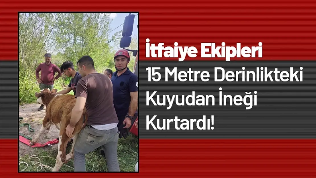 İtfaiye Ekipleri 15 Metre Derinlikteki Kuyudan İneği Kurtardı!