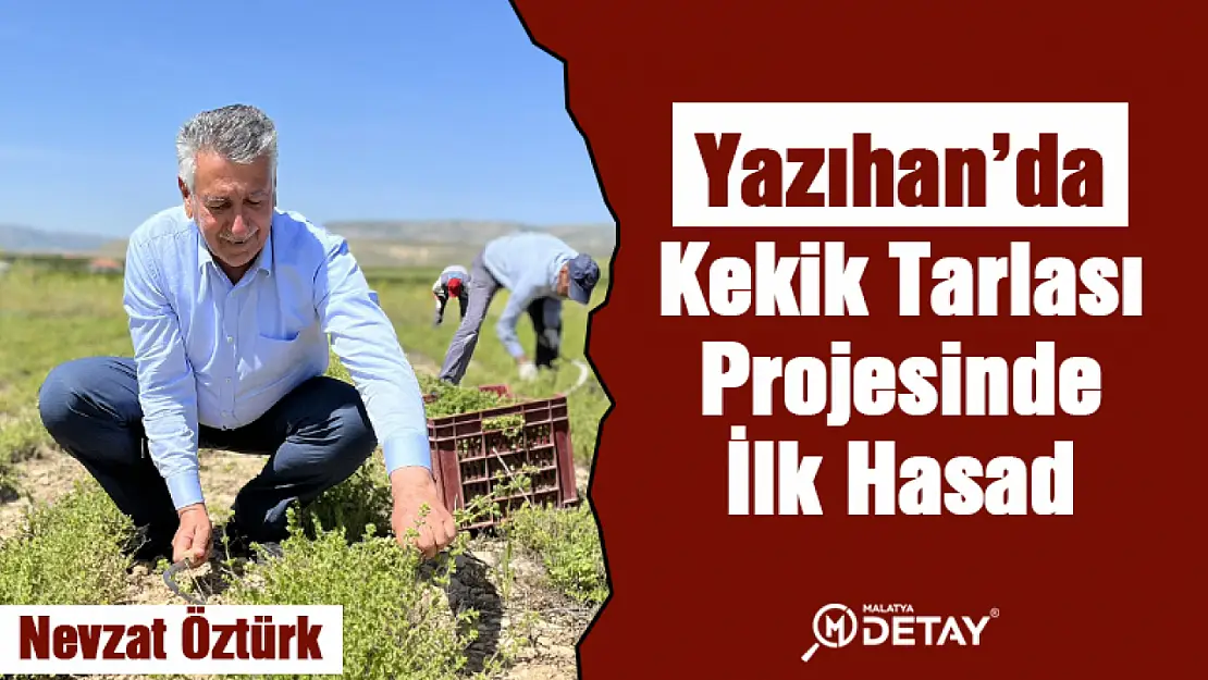 Kekik Tarlasında İlk Hasad