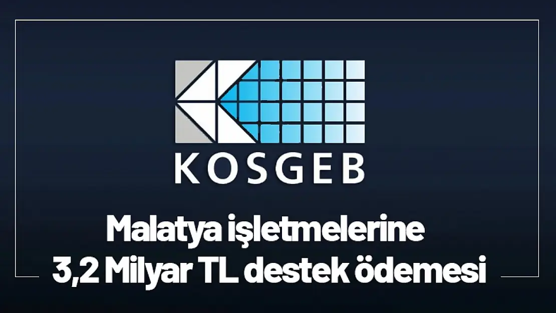 KOSGEB'den Malatya İşletmelerine 3,2 Milyar TL Destek Ödemesi