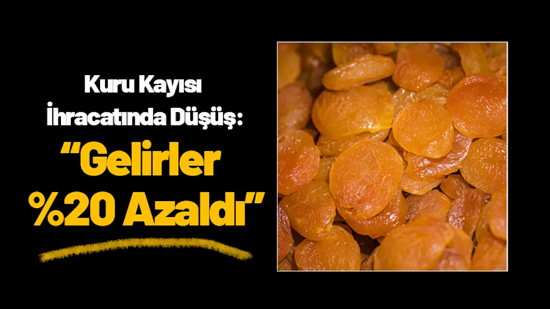 Kuru Kayısı İhracatında Düşüş: Gelirler Yüzde 20 Azaldı