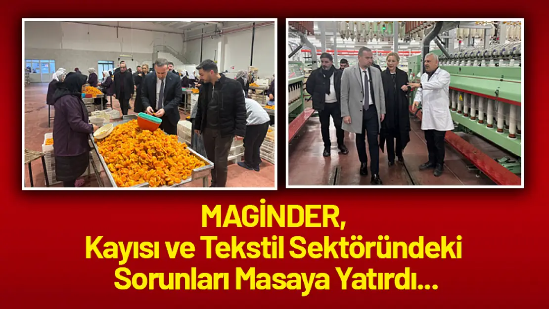 MAGİNDER, Kayısı ve Tekstil Sektöründeki Sorunları Masaya Yatırdı...