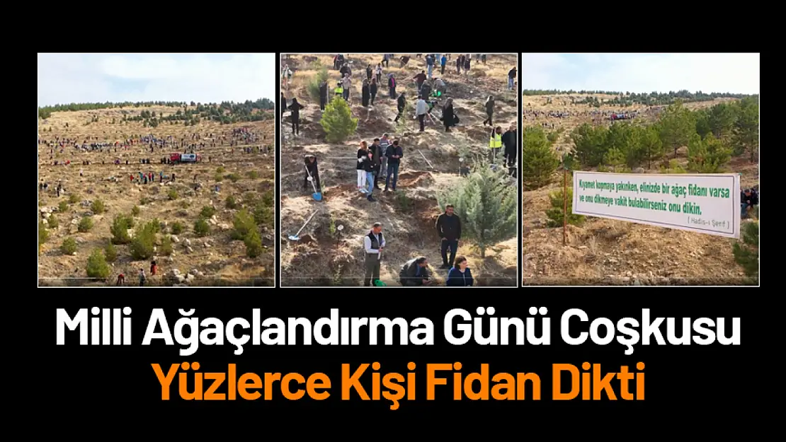 Malatya'da Milli Ağaçlandırma Günü Coşkusu: Yüzlerce Kişi Fidan Dikti