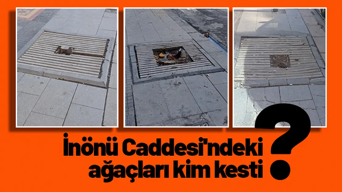 Malatya'nın İnönü Caddesi'ndeki ağaçları kim kesti?