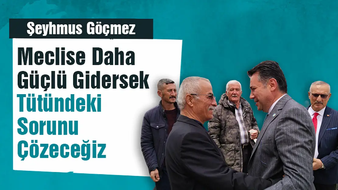 Meclise Daha Güçlü Gidersek Tütündeki Sorunu Çözeceğiz