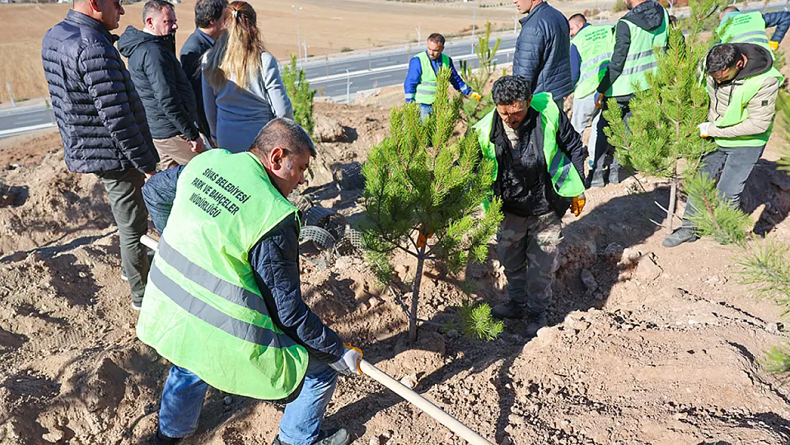 Mevsimlik İşçiler İçin Hatıra Ormanı