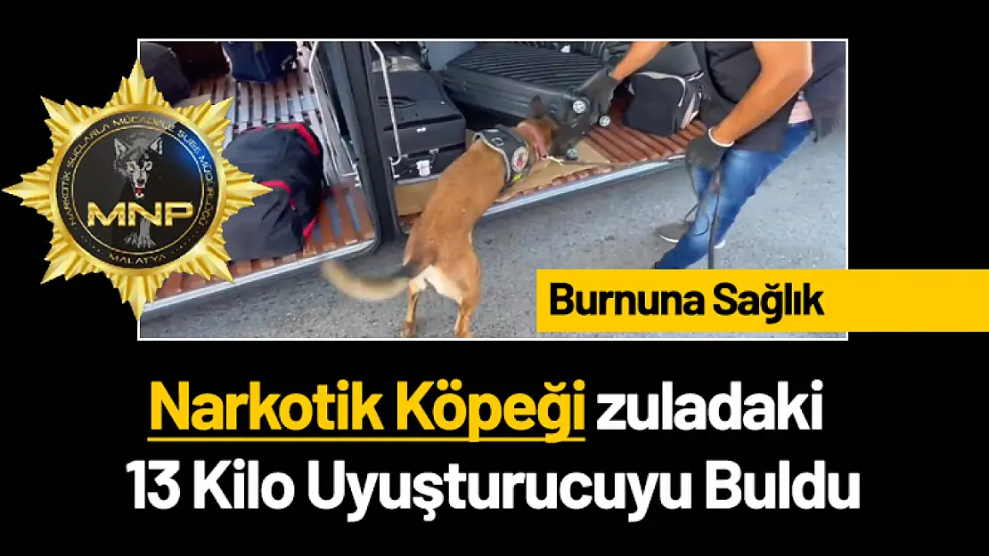 Narkotik Köpeği zuladaki 13 Kilo Uyuşturucuyu Buldu