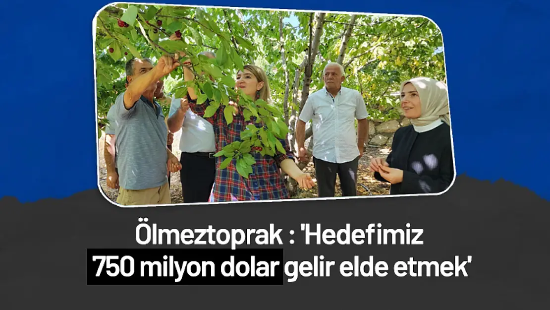 Ölmeztoprak : 'Hedefimiz 750 milyon dolar gelir elde etmek'