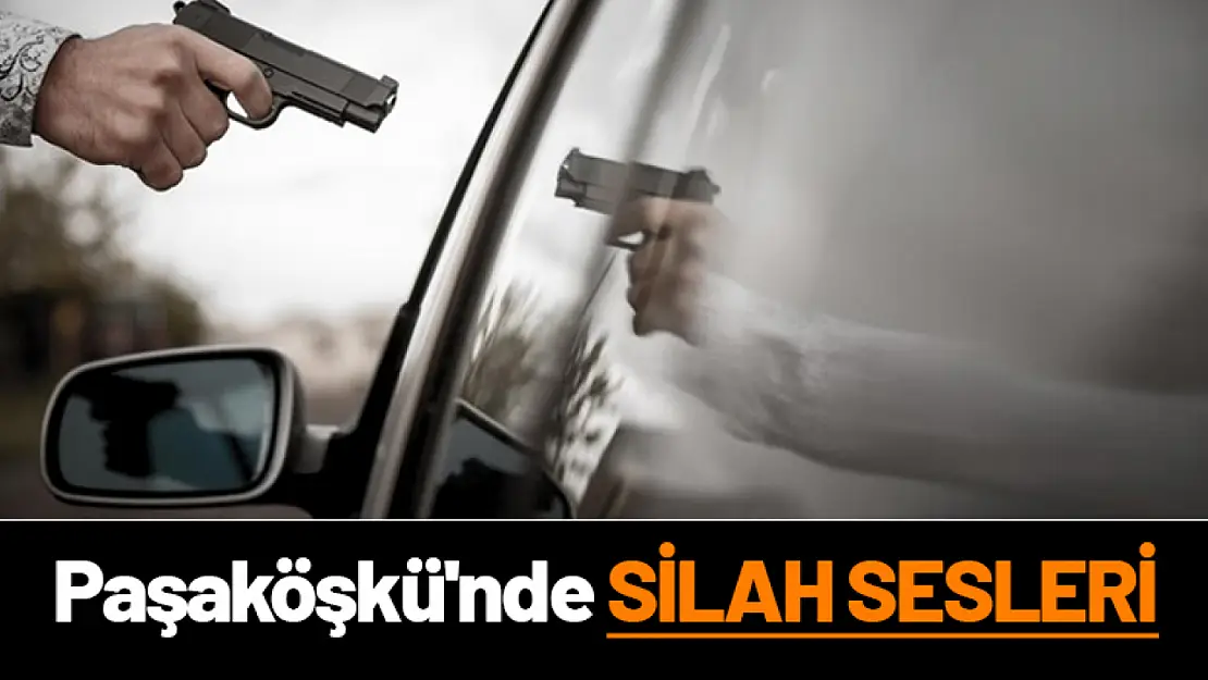 Paşaköşkü'nde Silah Sesleri