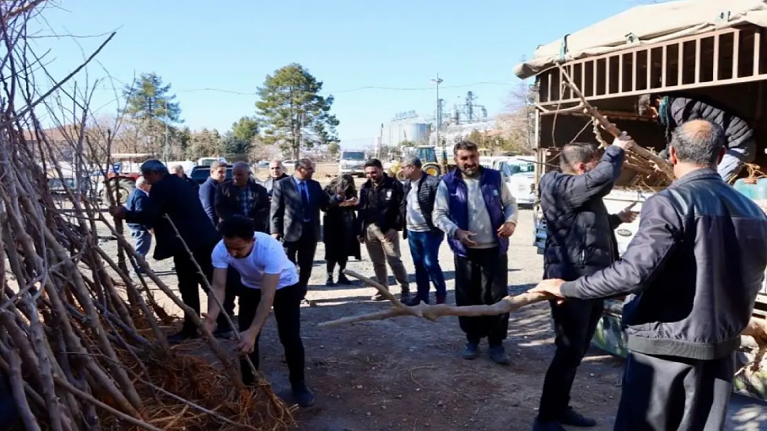 Şanlıurfa Büyükşehir Belediyesi'nden İpek Böceği Yetiştiricilerine Dut Ağacı Hibesi