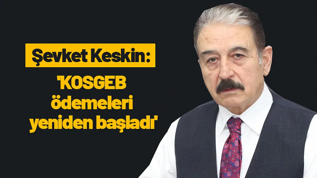 Şevket Keskin: 'KOSGEB ödemeleri yeniden başladı'