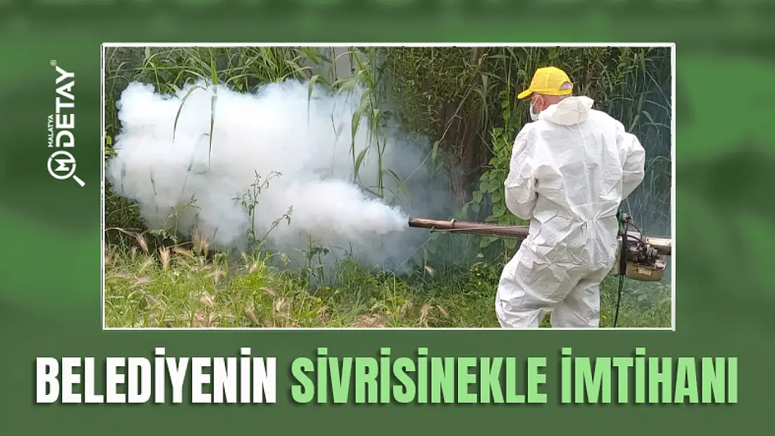 Belediyenin Sivrisinekle İmtihanı...