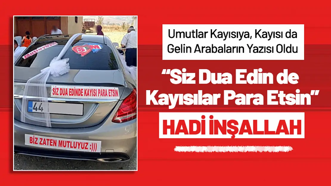 Siz Dua Edin de Kayısılar Para Etsin