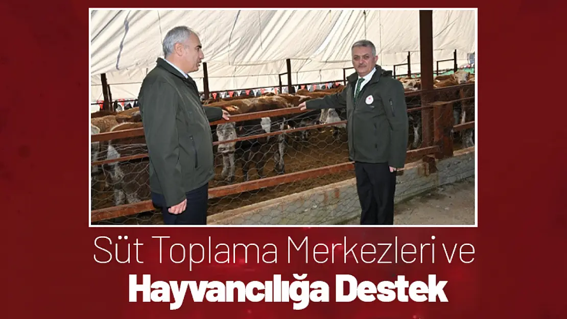 Süt Toplama Merkezleri ve Hayvancılığa Destek