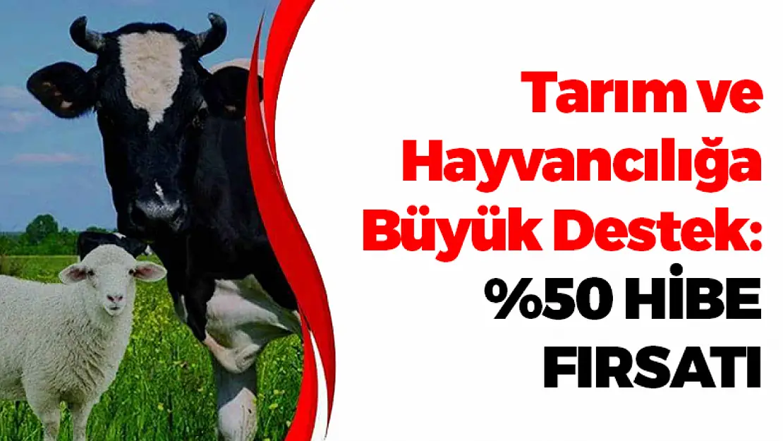 Tarım ve Hayvancılığa Büyük Destek: Yüzde 50 Hibe Fırsatı