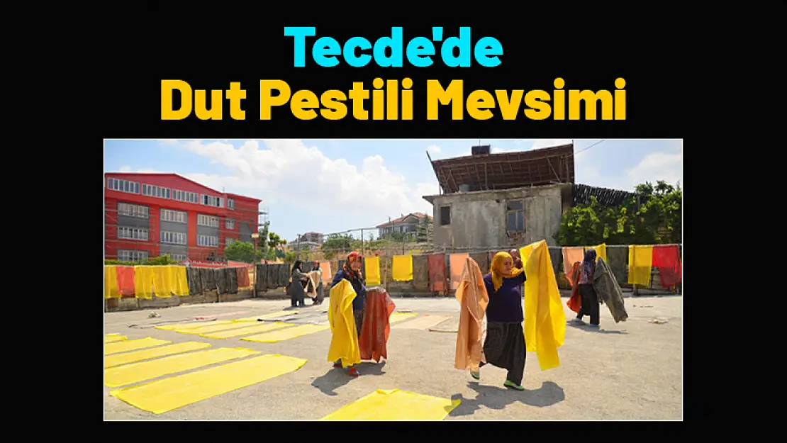 Tecde'de dut pestili mevsimi...