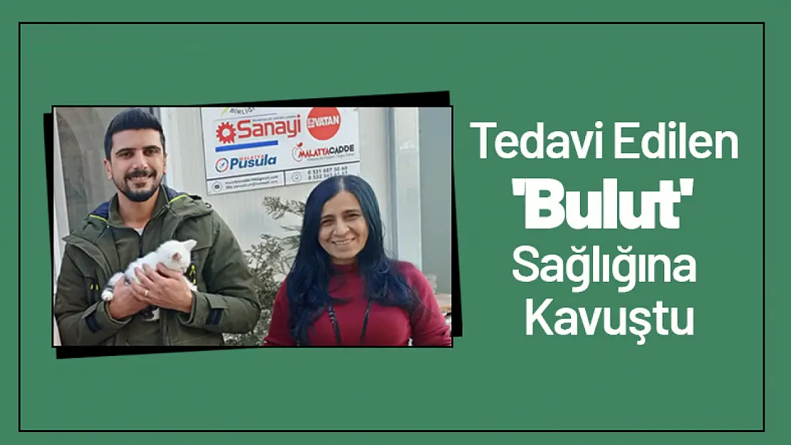 Tedavi Edilen 'Bulut' Sağlığına Kavuştu...