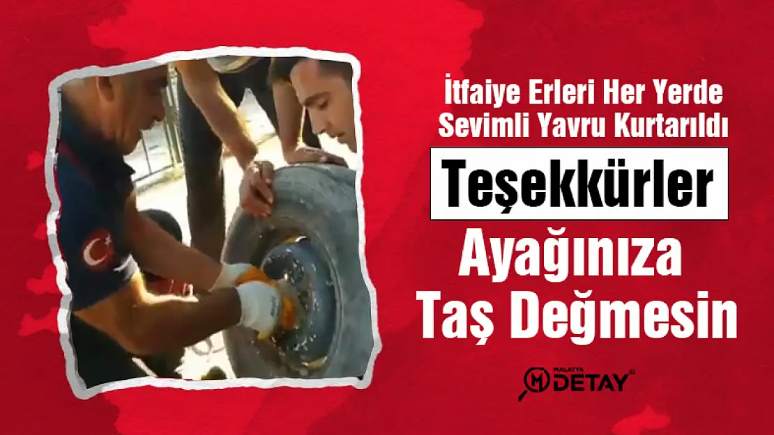 Teşekkürler. Ayağınız Taş Değmesin…