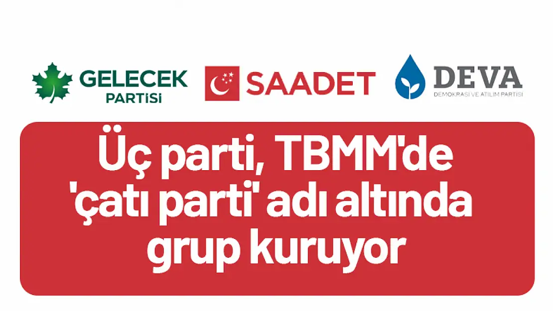 Üç parti, TBMM'de 'Çatı Parti' Adı Altında Grup Kuruyor