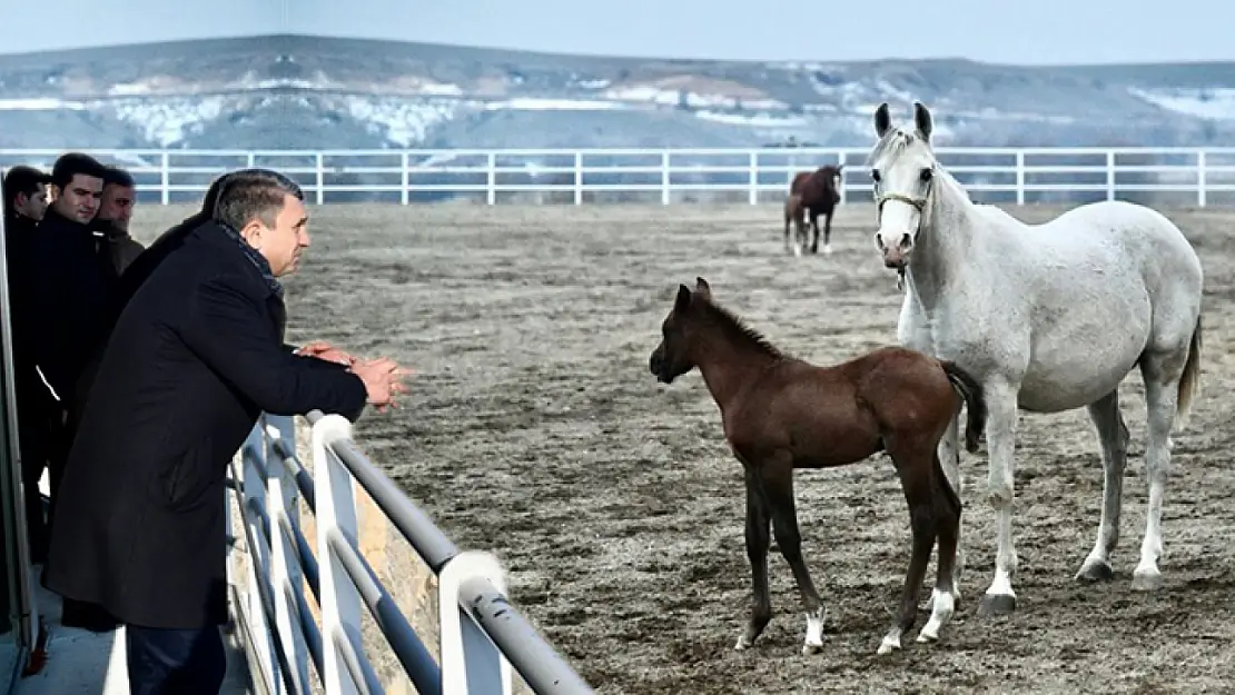 Valisi Şahin'den  Levent Vadisi ve Sultansuyu Harasına Ziyaret