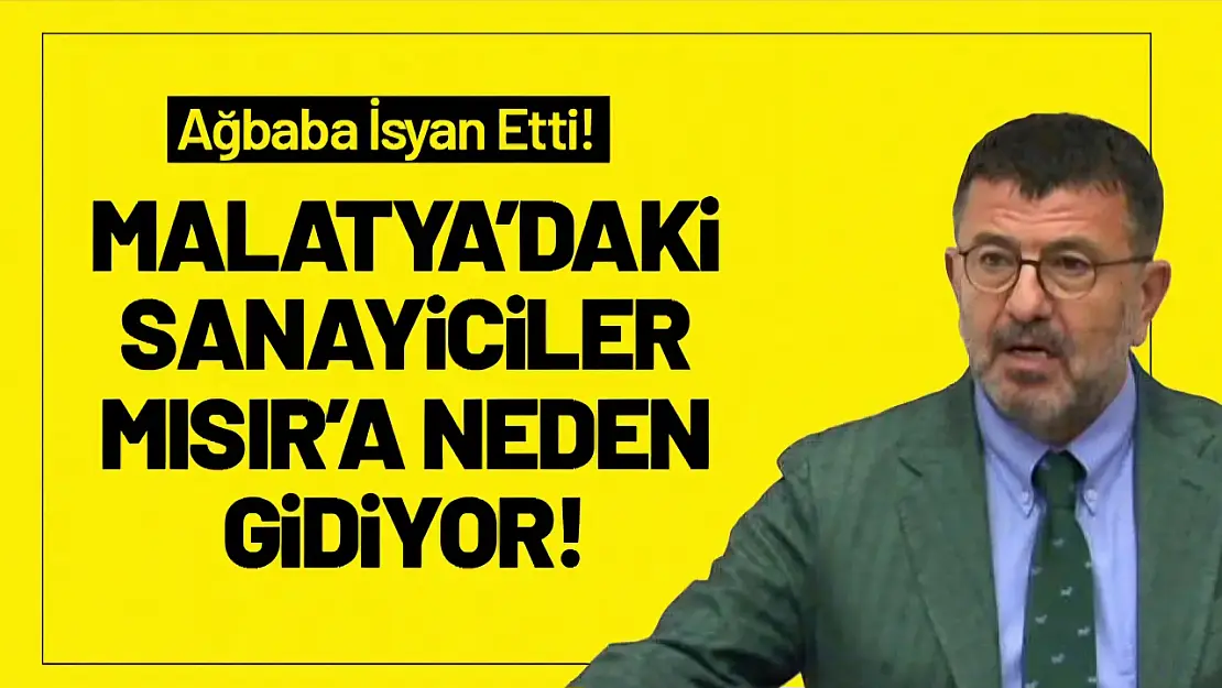 Veli Ağbaba: 'Malatya'daki Sanayiciler Mısır'a Neden Gidiyor!'