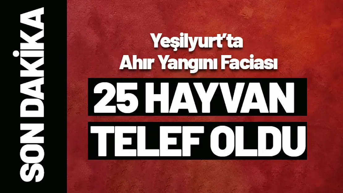 Yeşilyurt'ta Ahır Yangını Faciası: 25 Hayvan Telef Oldu