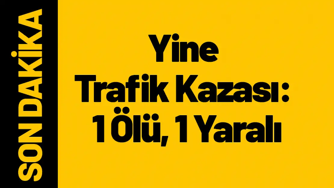 Yine Trafik Kazası: 1 Ölü, 1 Yaralı