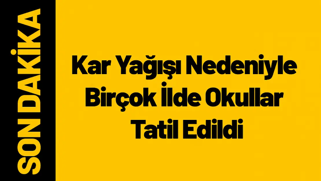 Yoğun Kar Yağışı Nedeniyle Birçok İlde Okullar Tatil Edildi