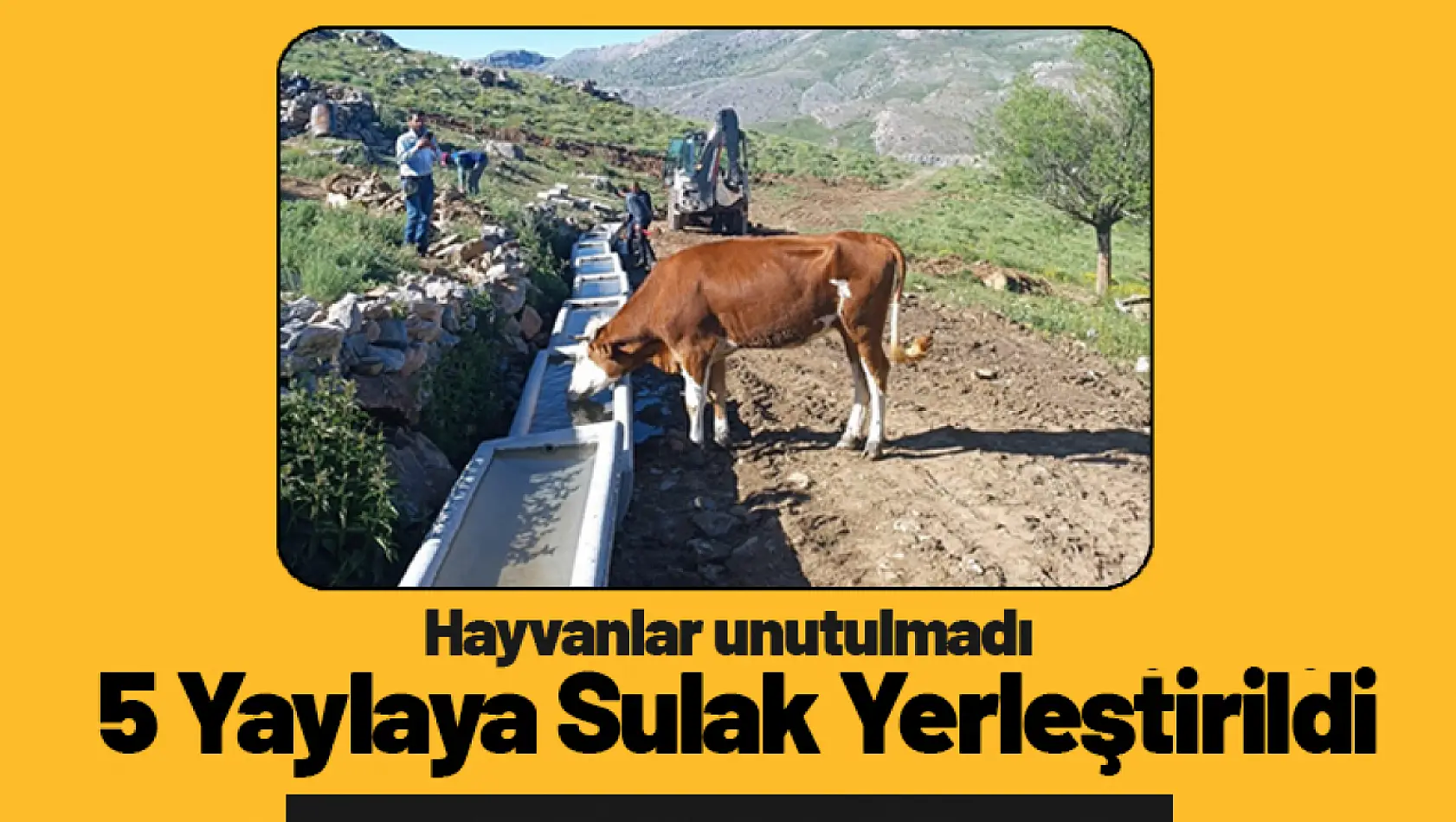 Doğanşehir Belediyesi 5 Yaylaya Sulak Yerleştirdi