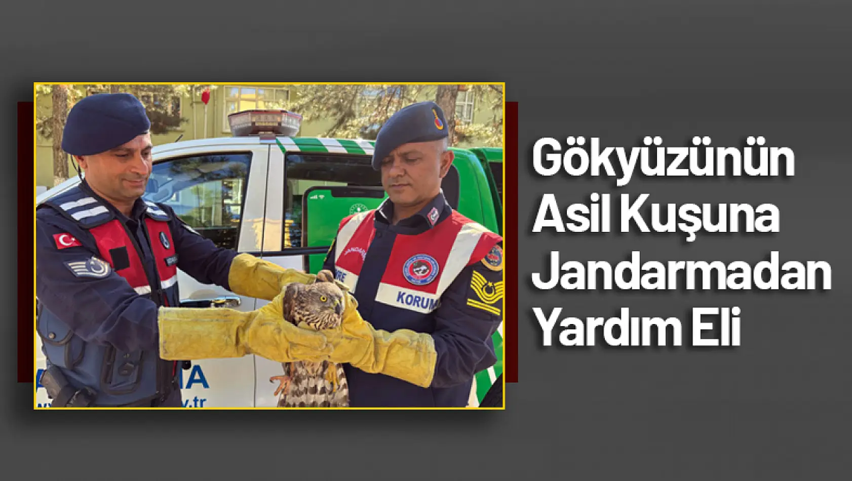 Gökyüzünün Asil Kuşuna Jandarmadan Yardım Eli