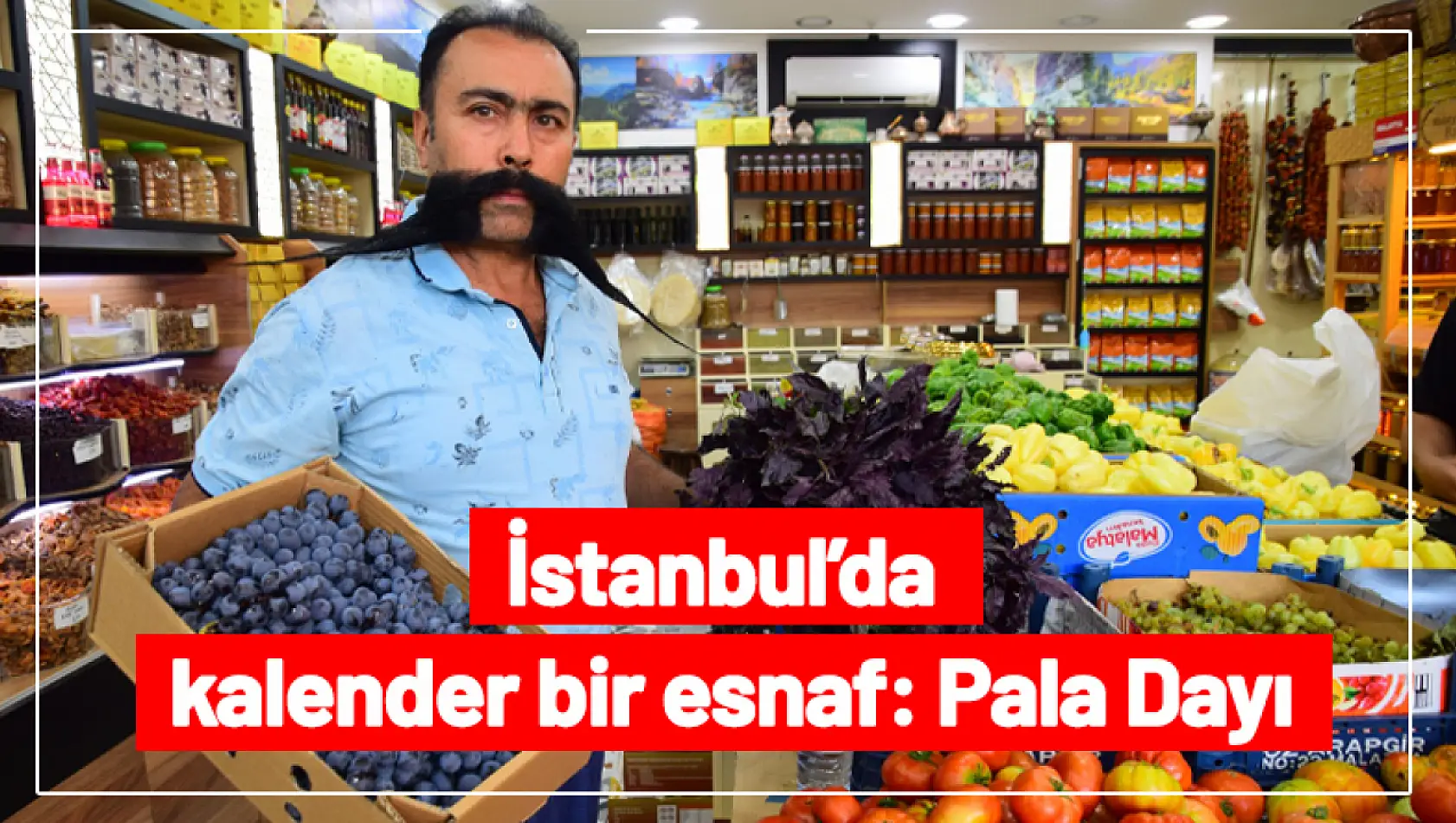 İstanbul'da kalender bir esnaf: Pala Dayı