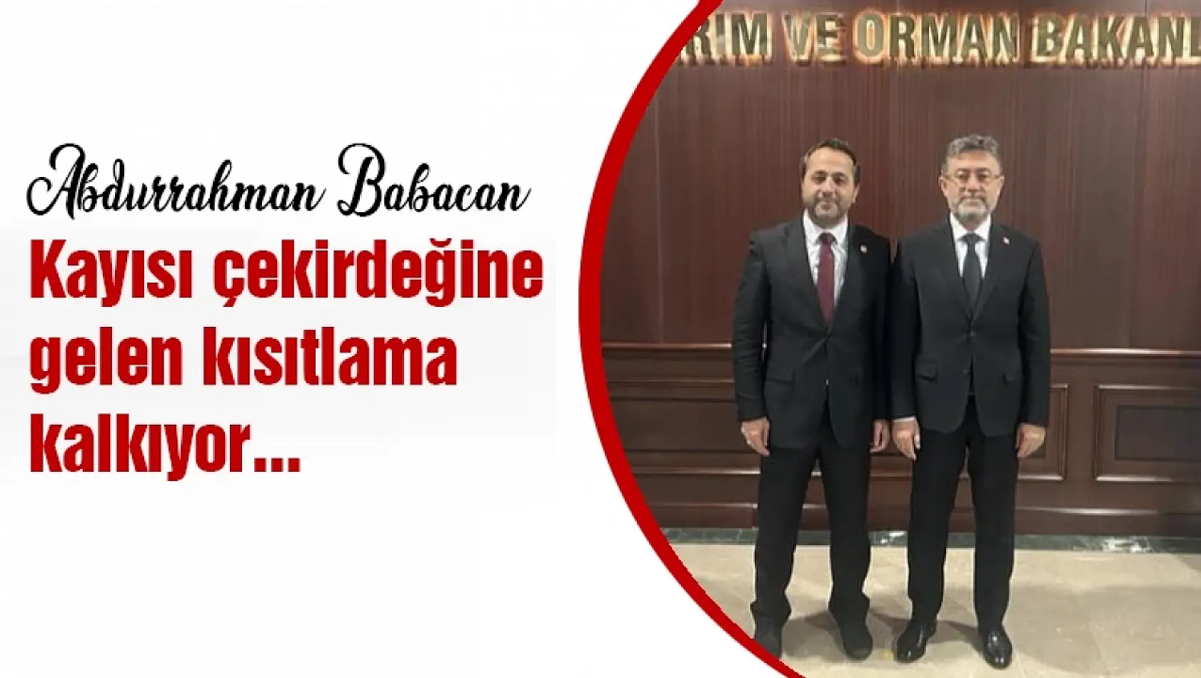 Kayısı çekirdeğine  gelen kısıtlama kalkıyor...