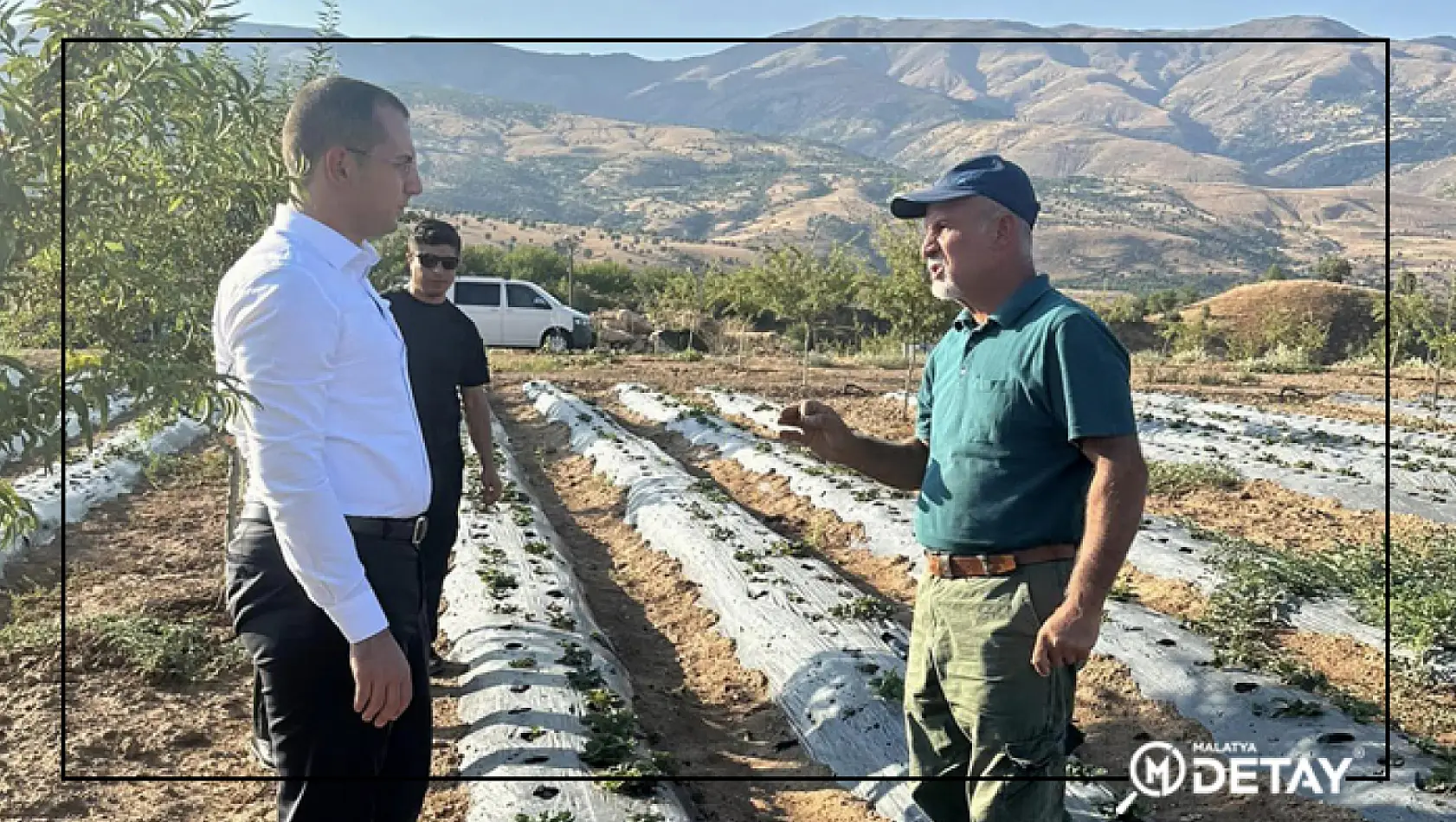 Pütürge'de Örnek Çiftçi 36 Dekarlık Alanı 49 Yıllığına Kiraladı Çilek Üretiyor...