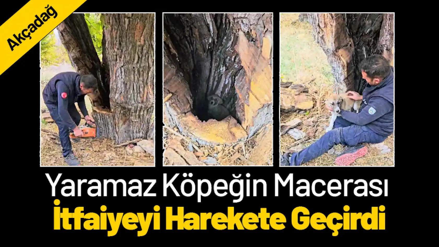 Yaramaz Köpeğin Macerası İtfaiyeyi Harekete Geçirdi