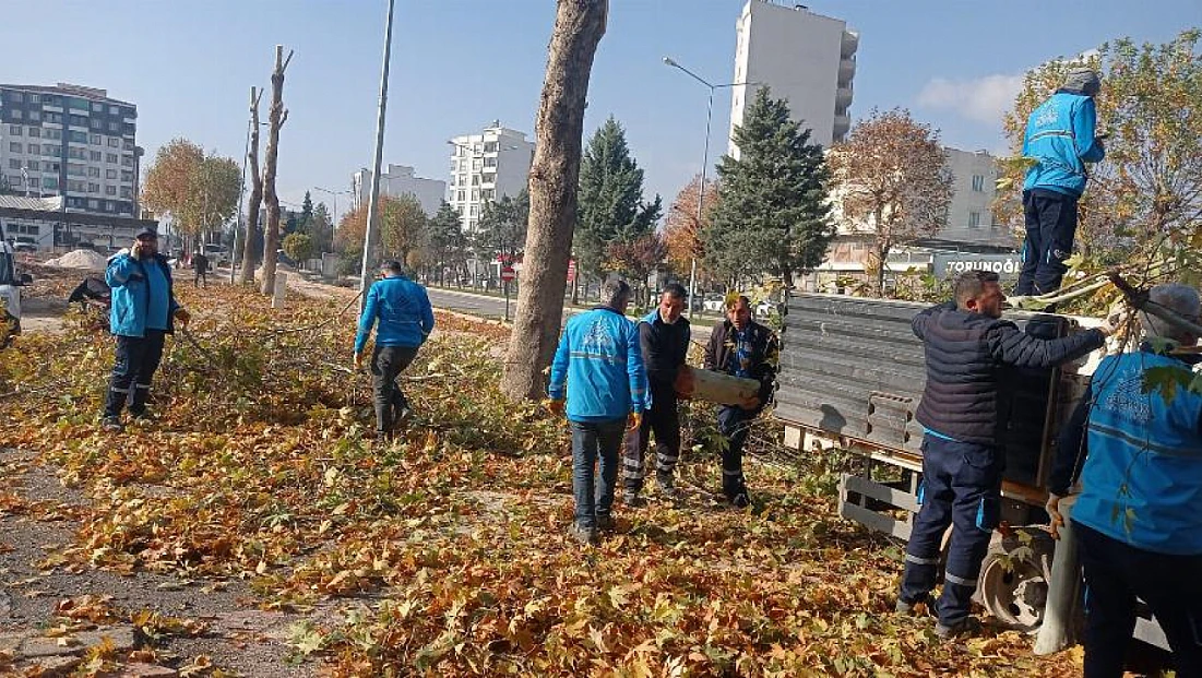 Adıyaman’da Yüksek Budama Çalışmaları Başladı