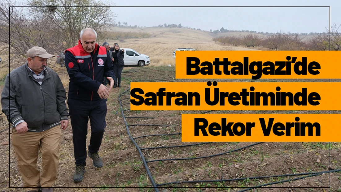 Battalgazi’de Safran Üretiminde Rekor Verim